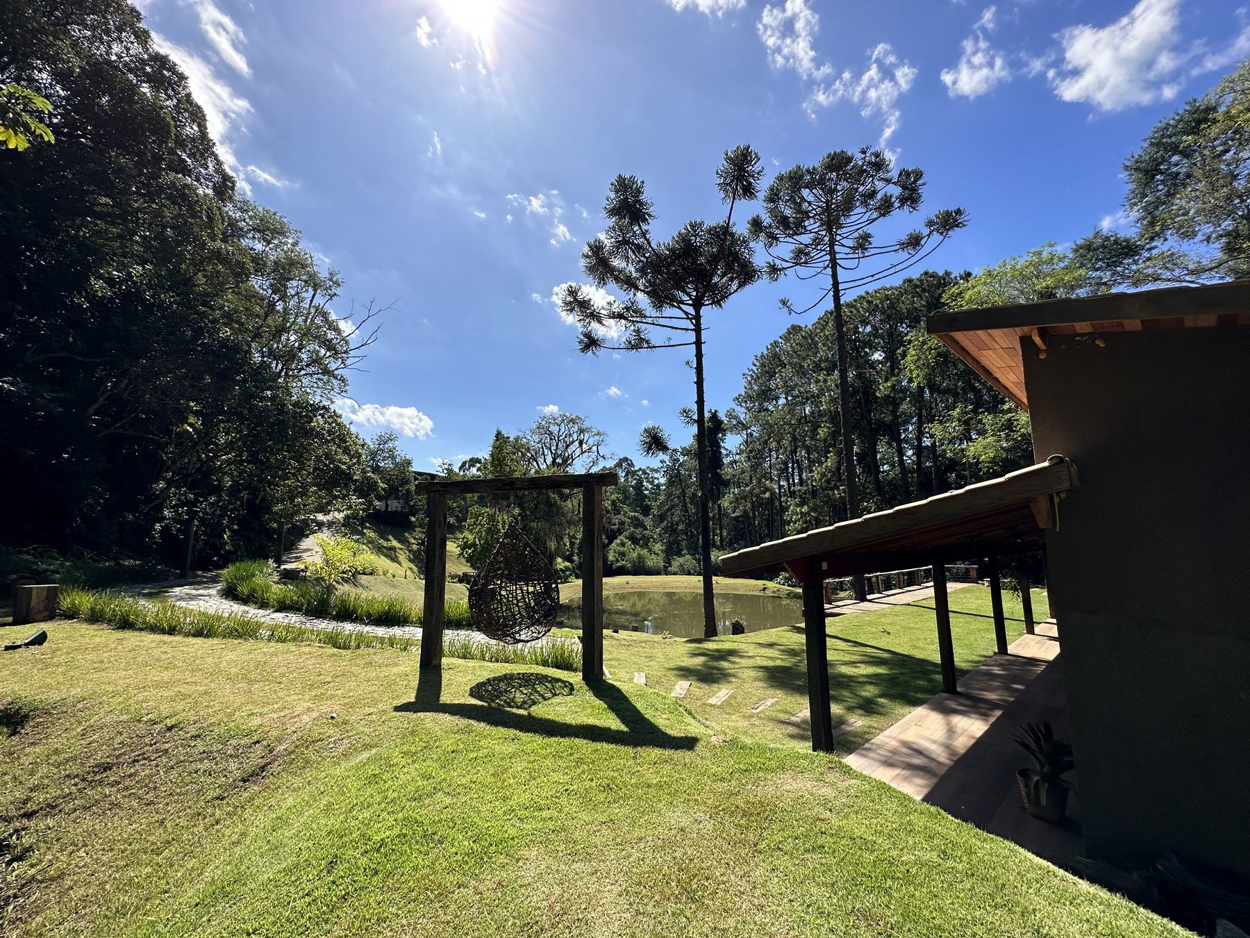 Balanço de fibra suspenso no gramado, com o lago e o deck ao fundo