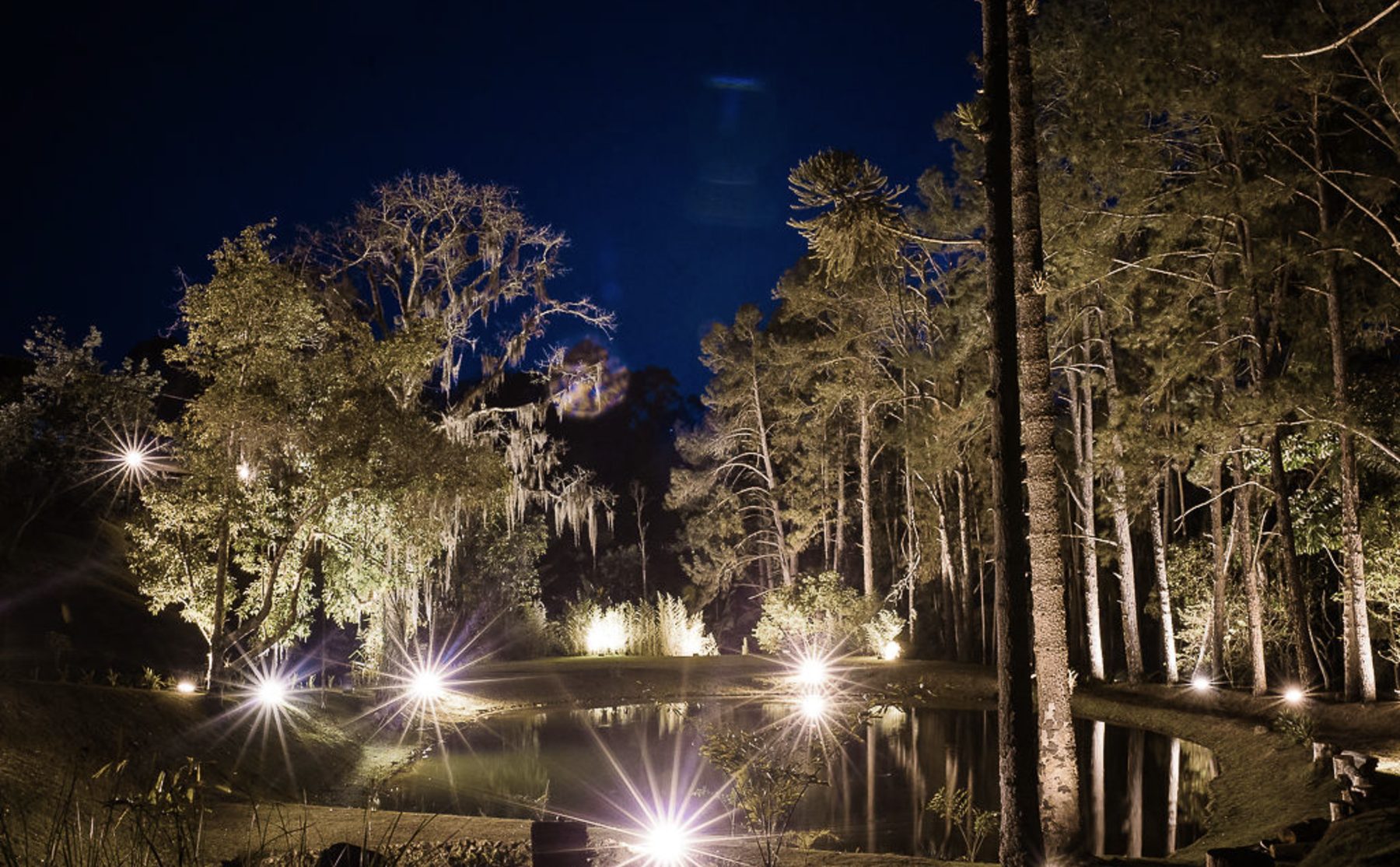 Lago da Fazenda Fagundes iluminado à noite, cercado por araucárias